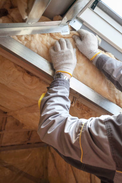 Trusted Lenexa, KS Insulation Contractor Experts