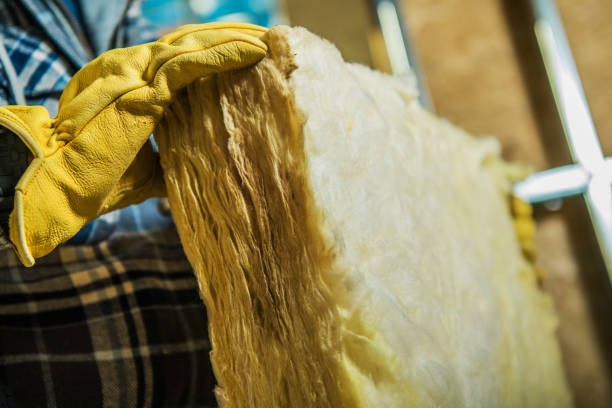 Best Insulation Maintenance and Repair in Lenexa, KS